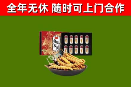 鲤城烟酒回收冬虫夏草礼盒.jpg